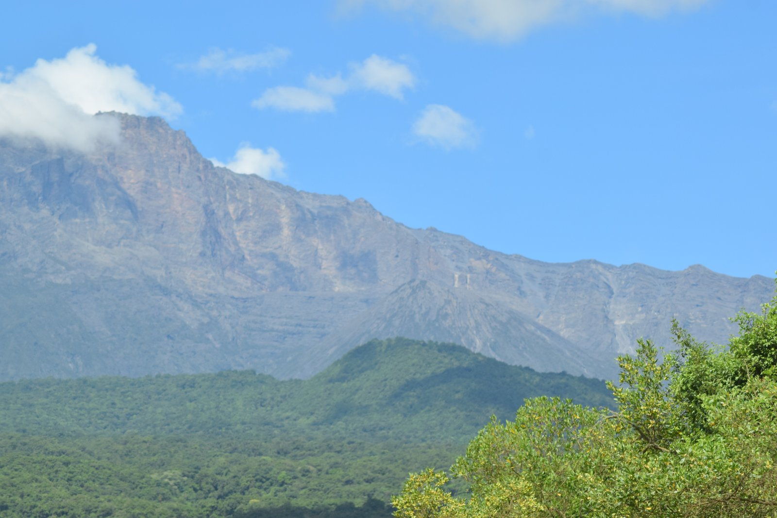 Tarangire game drive